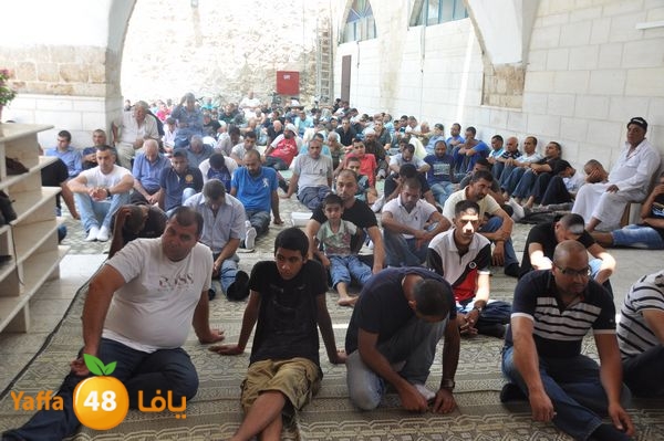 bazsalah lud 712 (59).JPG